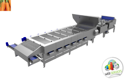 optical Sorting Machine